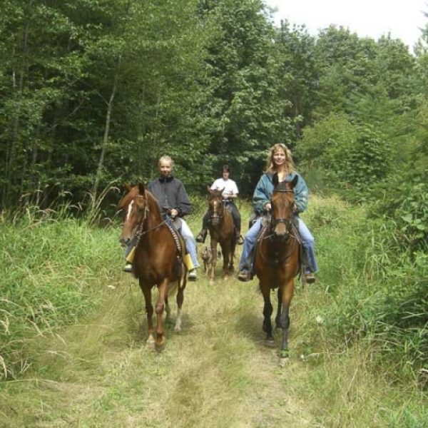 nw-horse-trails-stub-stewart-state-park-7-640×480